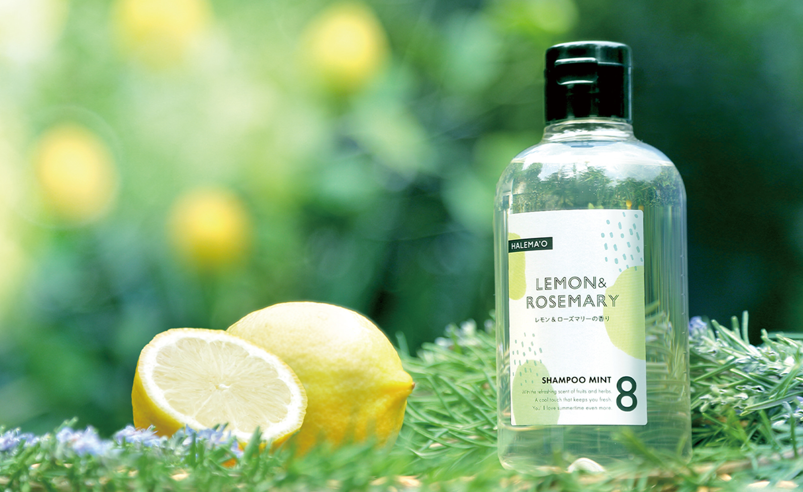 爽快!!夏に欠かせない!「HALEMA'O」シャンプー｜コラム｜表参道・青山